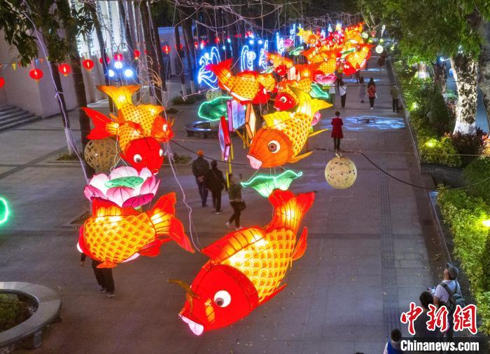 2021年元宵节前后，江门新会街头一盏盏鲤鱼灯形态饱满，很具美感和喜庆色彩。资料图 黄永照 摄