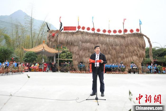 图为河池市文化广电体育和旅游局局长韦鸿臻致辞 林浩 摄
